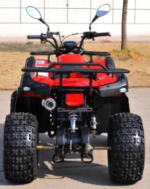 Moto 200cc Utility Quad Bike ATV for Farm (MDL 200AUG)