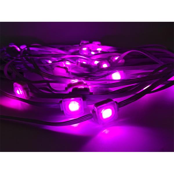 SMD 5050 Hang Installation 24V 40lm светодиодный свет для красочного наружного декора