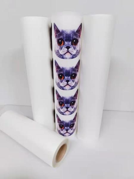 Double Sided DTF PET Film Width 60cm Heat Transfer Printing Film