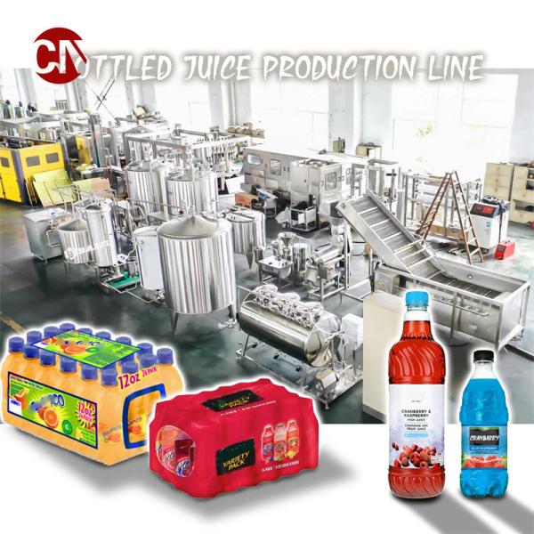 Sterilization Equipment for Automatic Commercial Apple Juice Production Line Customization