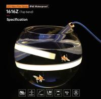 La bande de néon LED flexible à 24V personnalisée pour piscine IP68