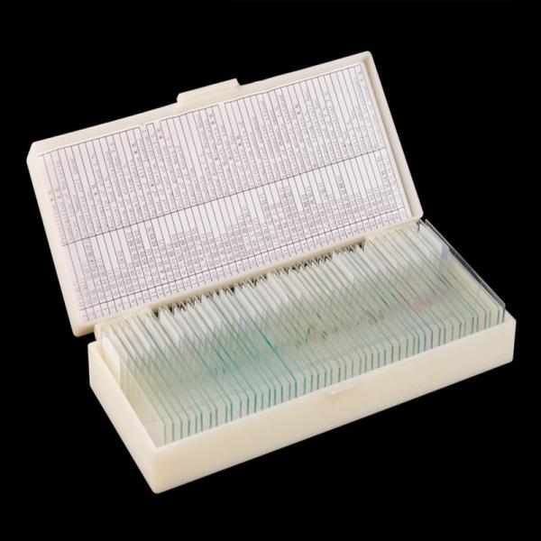 50pcs/Box Fixed Set High School OEM Biological Slides For Teaching