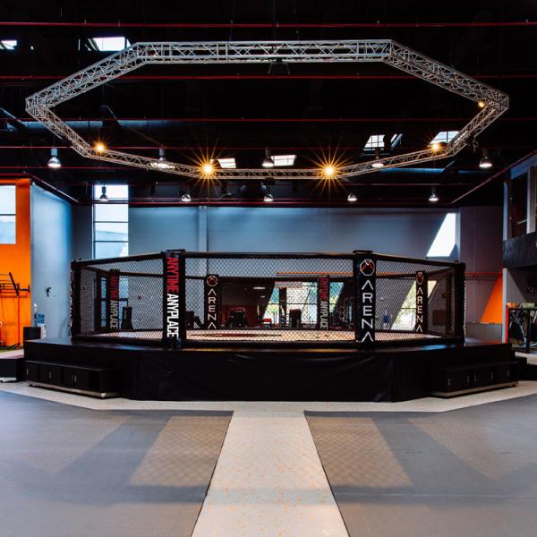 25FT La Lutte Home MMA Cage Competition Foldable UFC Octagon Ring