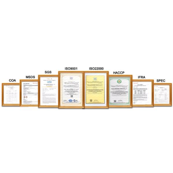 Sweet Floral  Essence Fragrance Oil For Reed Sticks & Diffusers  Concentrated