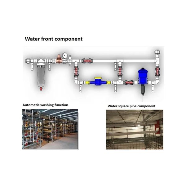 High Quality Full Automatic Poultry House Machinery with Corrosion Resistant Hot Dip Galvanised Steel and Automatic Feeding System