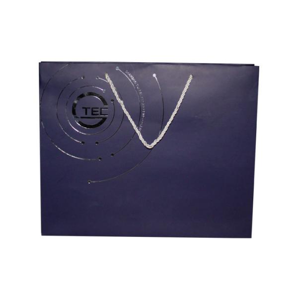Hot Stamping Customized Paper Bags With Handles OEM UV Coating