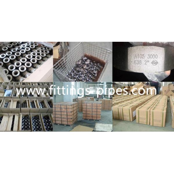 Astm A815 Socket Weld Cross , Industrial Forged Pipe Fittings