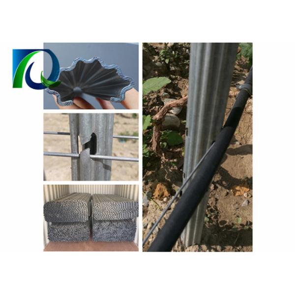 Anti Rust Steel Grape Stakes , Hot Dip Galvanized Steel Pole 1.5MM X 2.4M Size