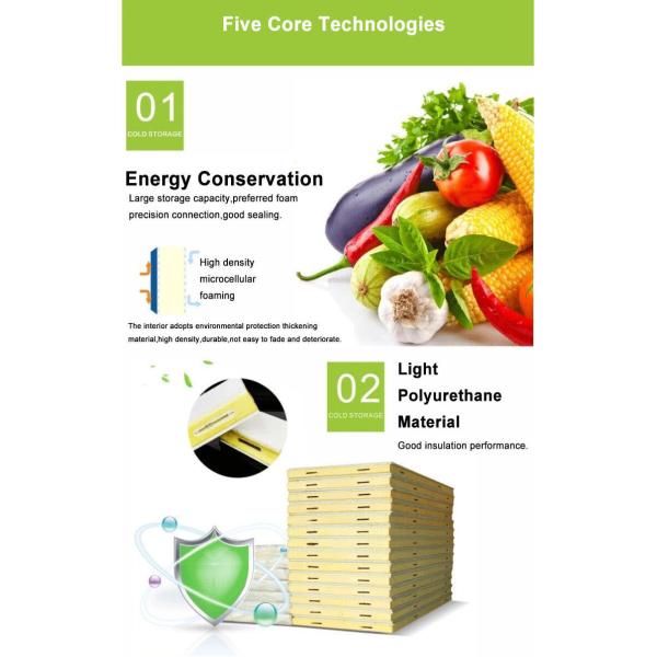 Warehouse Supermarket Fish Storage Cold Room Freezer Chiller Fan Cooling