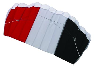 Linha dupla fácil tipo Oem/Odm de Carry Parafoil Stunt Kite 120*55cm disponível
