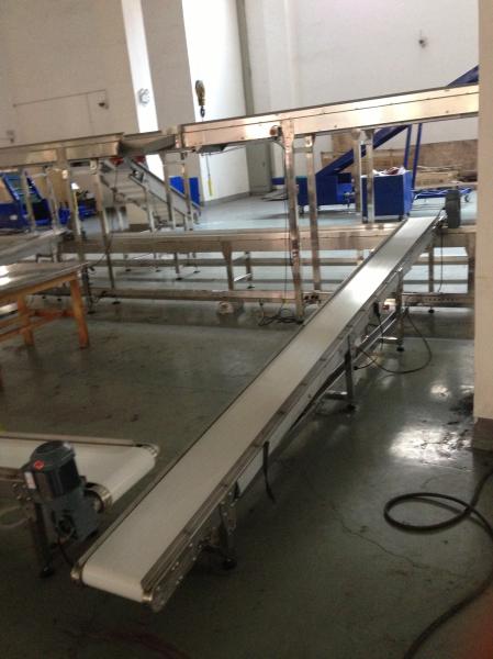Stainless Steel Belt Conveyor