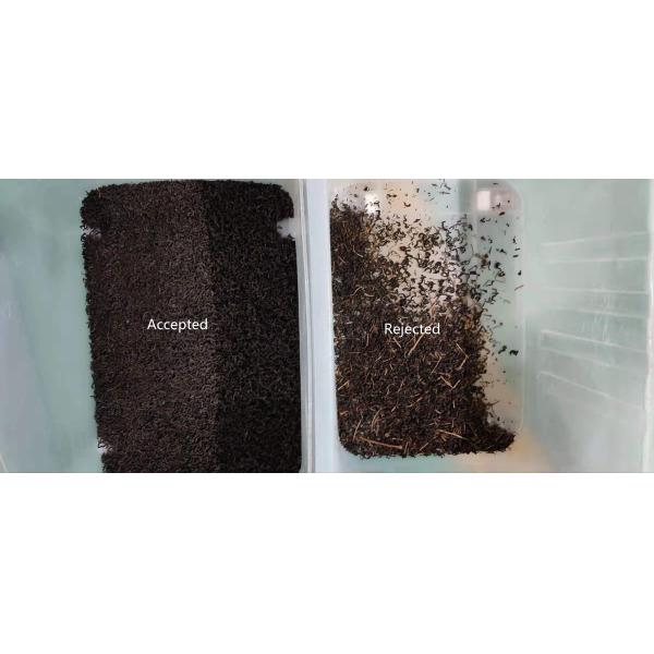 Зеленая машина 200kg/H сортировщицы цвета черного чая с камерой CCD RGB