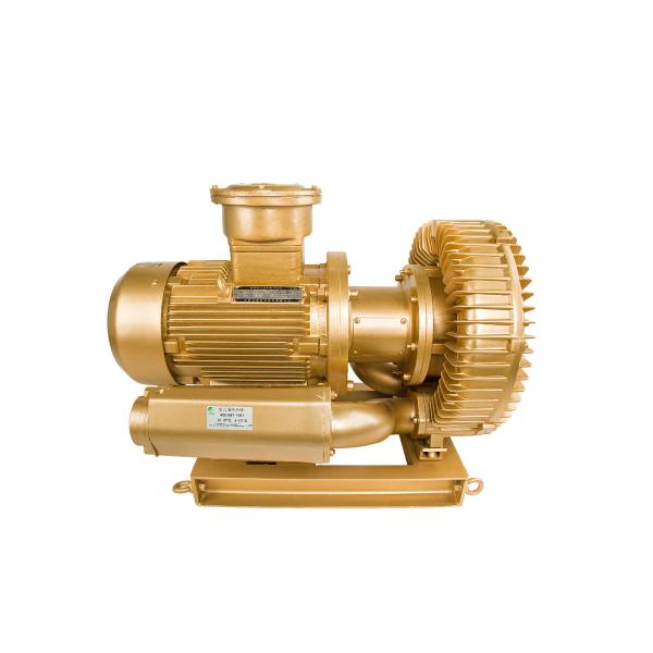 5.5KW 7.5hp Explosion Proof Vacuum Pump For Biogas Plant Wiht Inner Tefelon Blower