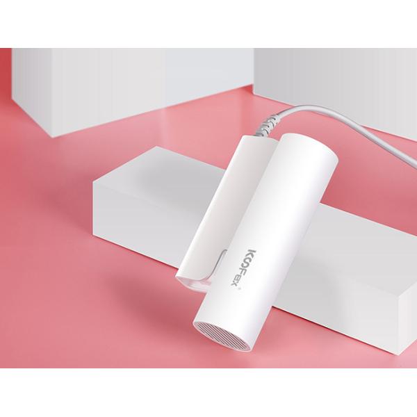 Анти- Frizz ионный складывая фен перемещения, Ultralight мини портативный фен для волос