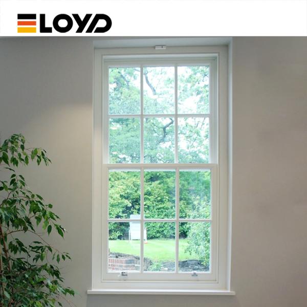Double Single Hung Window with 5+18A+5mm Tempered Glass and Aluminium Frame