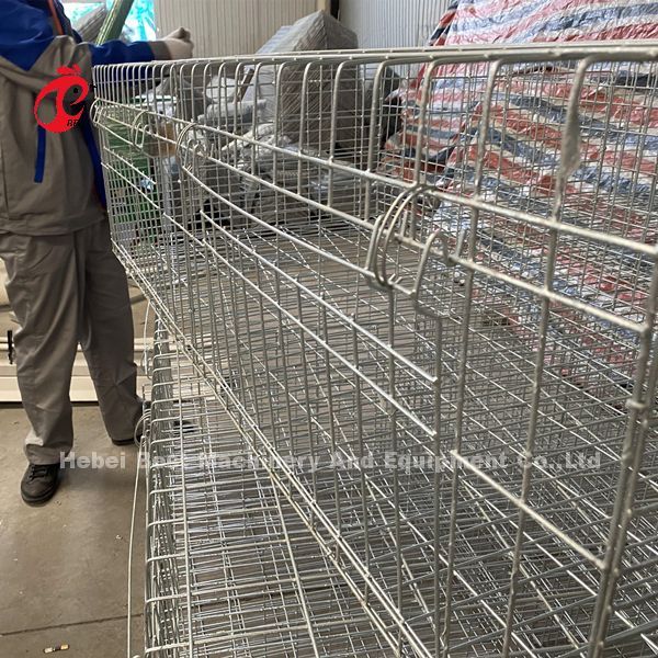 A Type Broiler Battery Cage Galvanized High Strength Poultry Broiler Cage  Iris