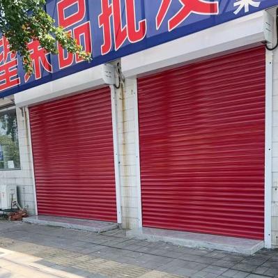 Anti Theft Protection Aluminium Roller Door Electric Dooya  Roll Up Aluminum Shutters