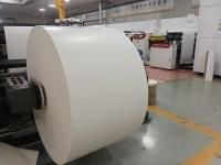 Copo de papel biodegradável com revestimento PE de 12 gm 170g-350g GSM Virgin Pulp Certificado SGS