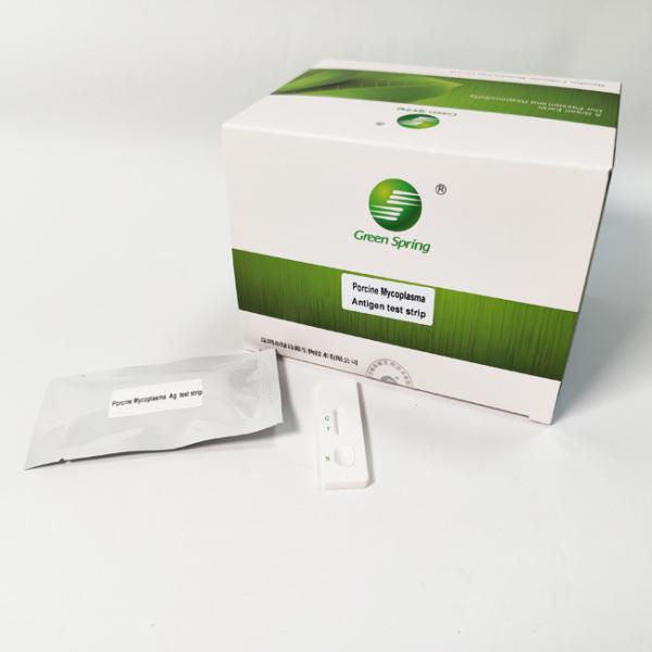 Mycoplasma Serum Antibody Rapid Porcine Test Kit For Cat Dog Serum 50 Tests/Kit