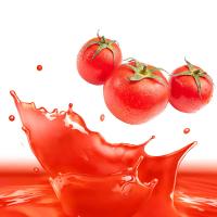 Vegetal de fruto automático completo que processa o equipamento industrial da maquinaria 415V