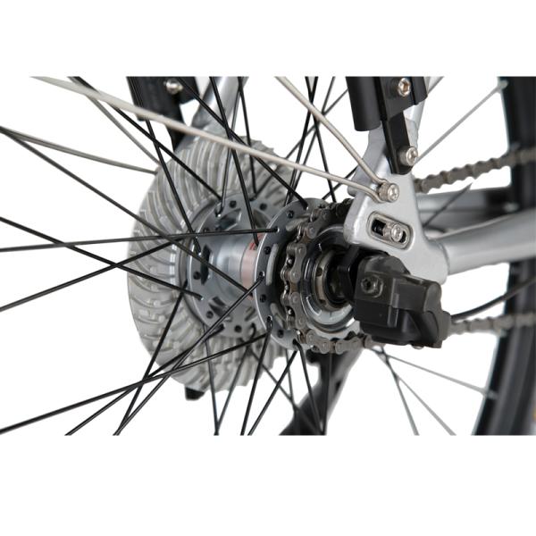 DOMANCA 750w Lady Electric Bike Sensor Smart Type and 18 Speed Gears for City Riding