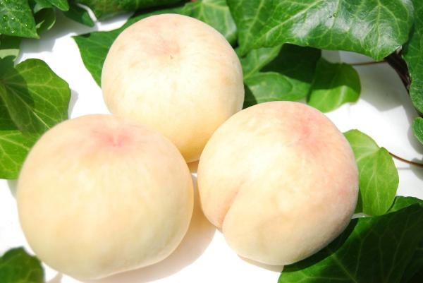 IQF Frozen White Peach Halves (1/2 cut), peeled and pitted, blanched