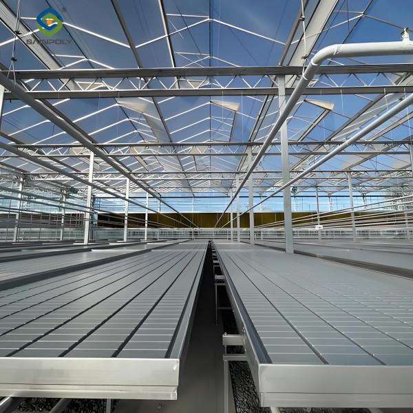 Vertical Lettuce Greenhouse PC Sheet Greenhouse With Hydroponic System