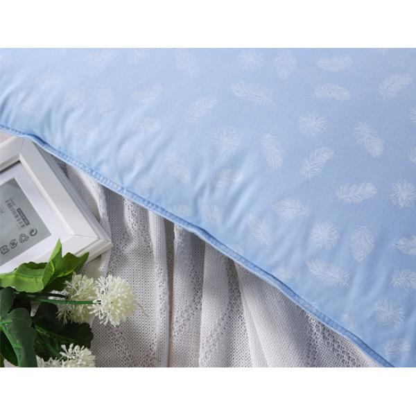 50x70cm Disposable Cotton Down Pillows