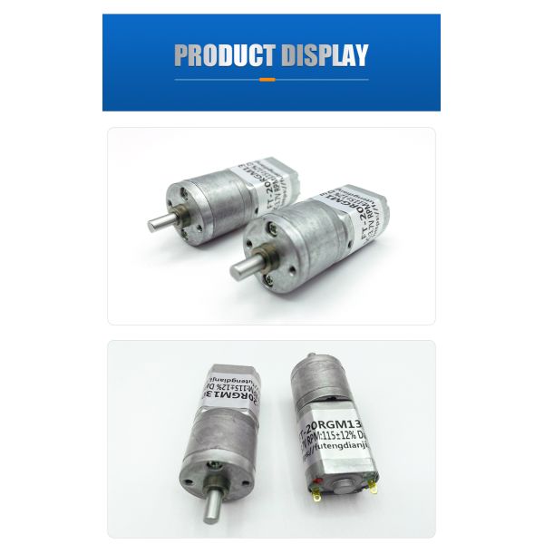 FT-25RGM130 DC Spur Gear Motor Explosion Proof 25mm Diameter