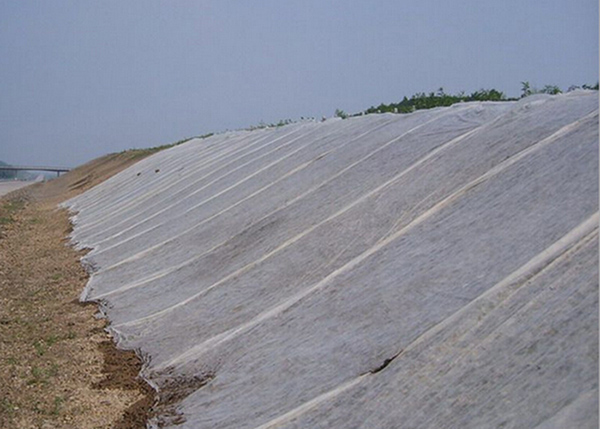 Tela no tejida impermeable Anti-ULTRAVIOLETA de los PP del polipropileno para la agricultura y las cubiertas de Lanscape