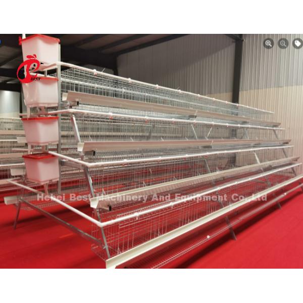 3 Tier 120 Birds And 4 Tier 160 Birds Layer Battery Cage System For Uganda Tanzania Poultry Farm Sandy