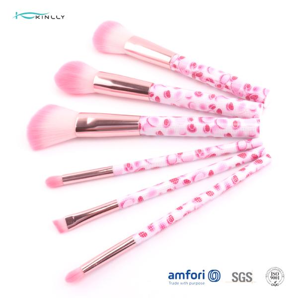 Sistema de cepillo cosmético del viaje plástico de nylon rosado del pelo 6pcs con la virola de aluminio