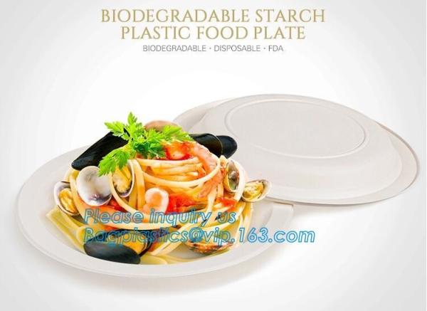 custom printed party plates disposable sugarcane bagasse plate Biodegradable Bamboo disposable paper plates bagease pack