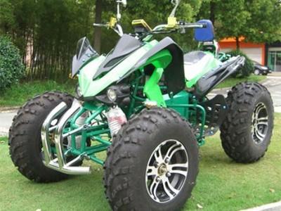 New Design 1000w/1500w High Power Electric ATV