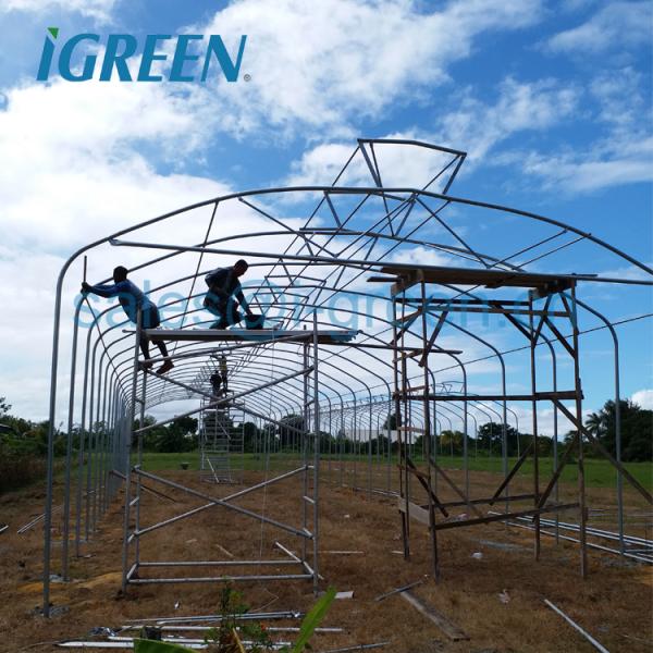 Umbrella Shape Single-Span Large Agriculture Prefab Greenhouse with Hot Dipped Galvanized Steel Frame PE Material