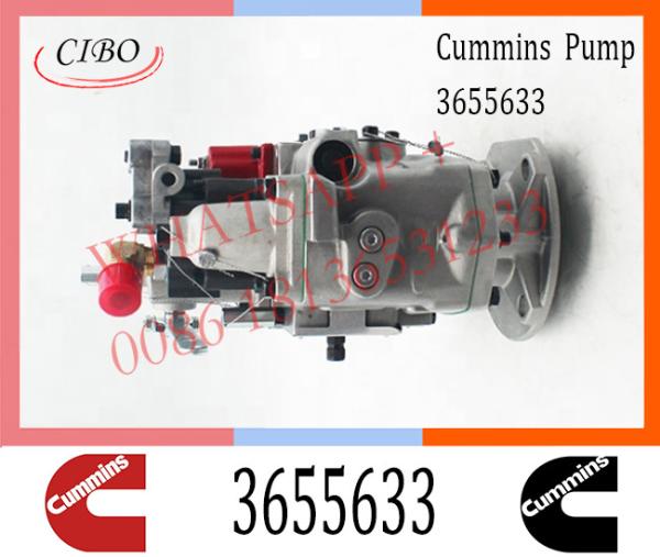 Injeção diesel para a bomba de combustível 3655633 de Cummins KTA19-M3 pinta