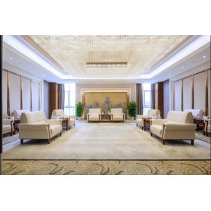 Collection de chaises de club commerciales élégantes  Mobilier de club de plage Chinlon Velours