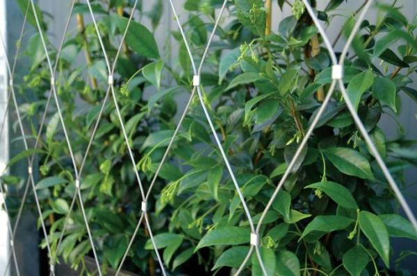 stainless steel ferruled rope mesh factory