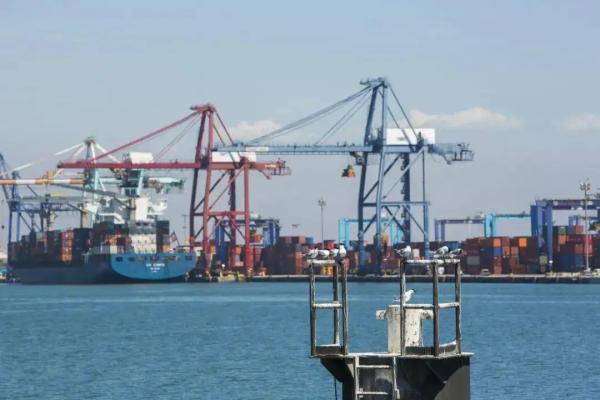 Shanghai Ningbo Tianjin Warehousing Distribution Services  Warehouse Storage Services