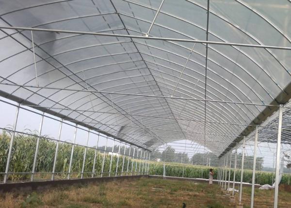 Irrigated Clear Cooling Poly Plastic Film Greenhouse
