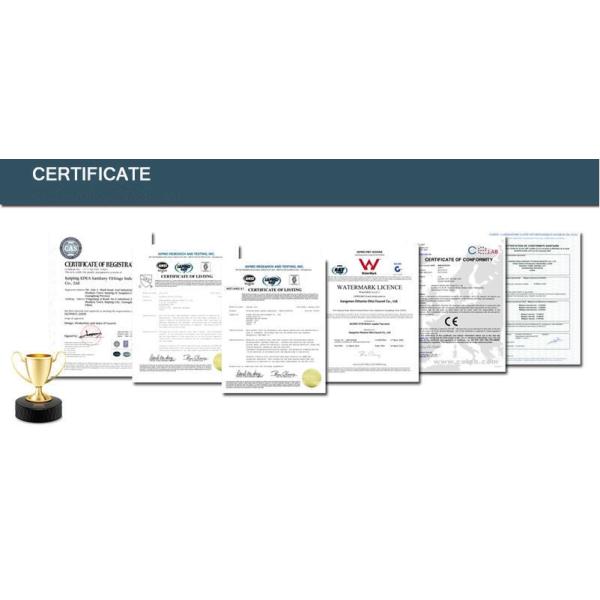 ABS Plastic Chormed Plated Three/Five Function bathroom accessories hand shower