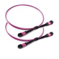 Polarité B d'élite de câble de tronc de PVC/LSZH MPO MTP principale vers le haut - de la clé pour Data Center
