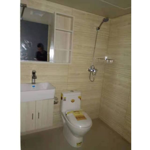 SMC Compression Molding One Piece Bathroom Wall Set ower Wall 5. SMC Integrated Bathroom Wall Panel Waterproof System