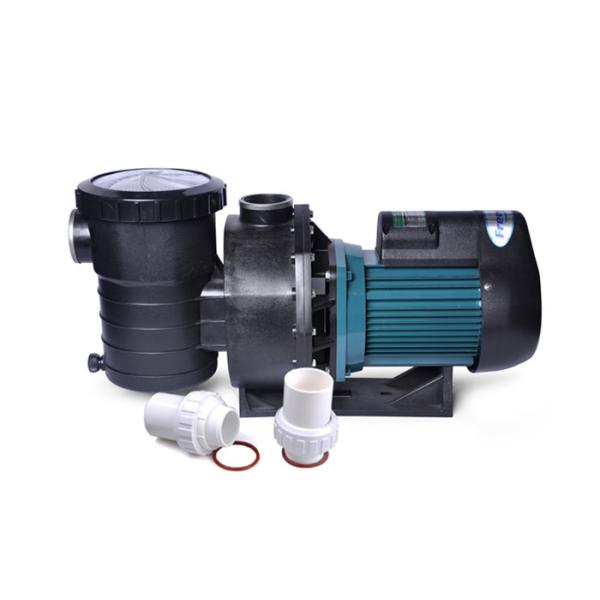 220v 60hz Single Phase Water Pump , Three Phase Pool Pump With Speed Control Function