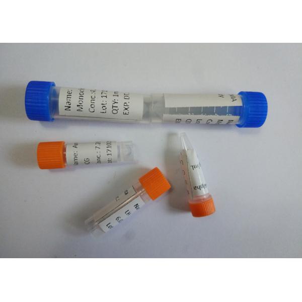 Антитело фармацевтической анти- мыши Бупренорфине моноклональное для исследования ИВД