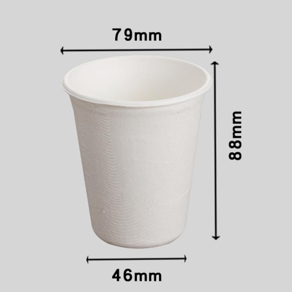 30-Day Return Policy Disposable Eco-Friendly Sugarcane Bagasse Paper Cup with Lid