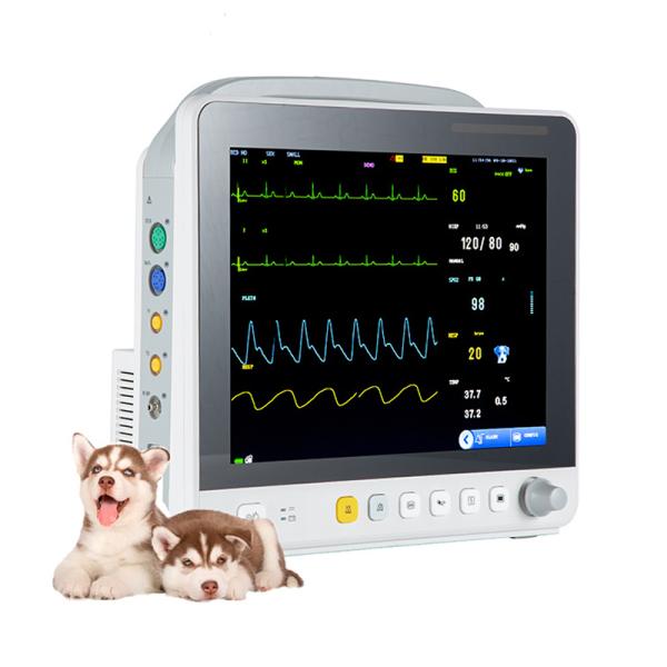 12.1inch Portable Vet Multi-parameter Monitor Yonker VE 12 Monitor Veterinary Multi-parameter 8 Monitor Price