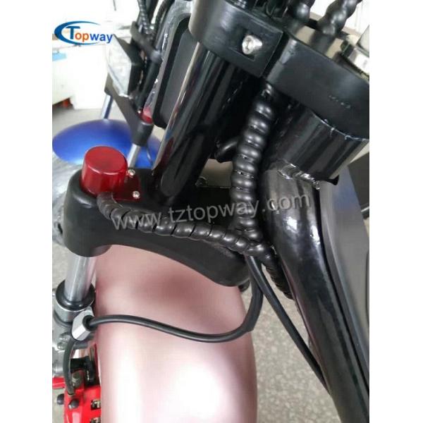 two wheels Citycoco 1000W 60V adult electric scooter battery box removable