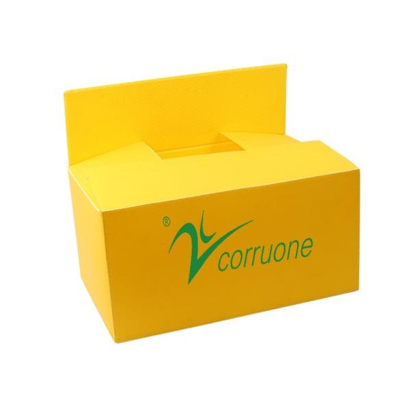 Polypropylene Corrugated Plastic Packaging Boxes Coroplast Plastic Turnover Box