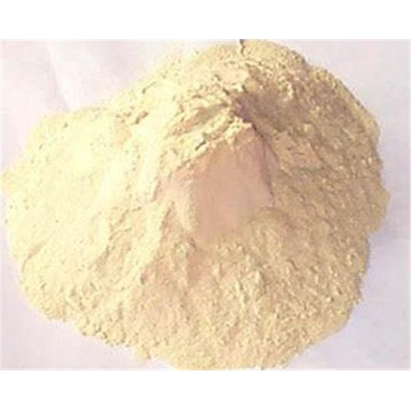 Natural Pure Wheat Gluten Protein Powder , Aquaculture Feed Ingredient